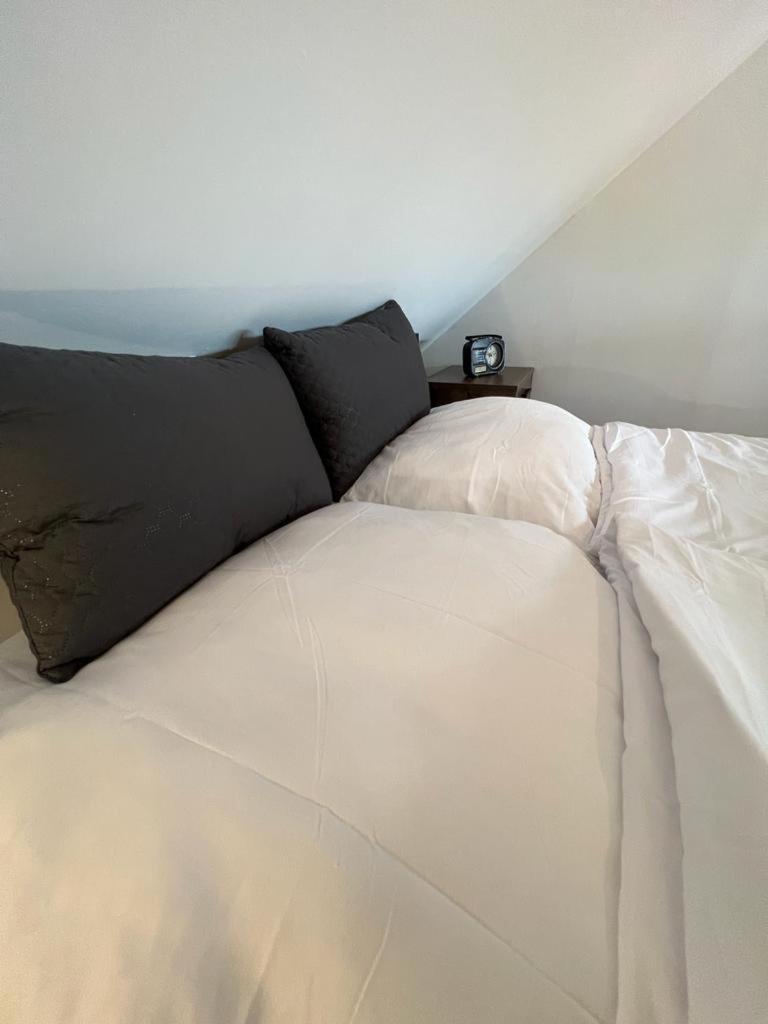 Unique Oldtown Apartment / Loft ニュルンベルク エクステリア 写真